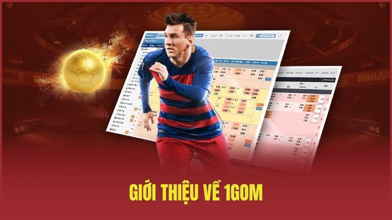 Giới thiệu về 1GOM