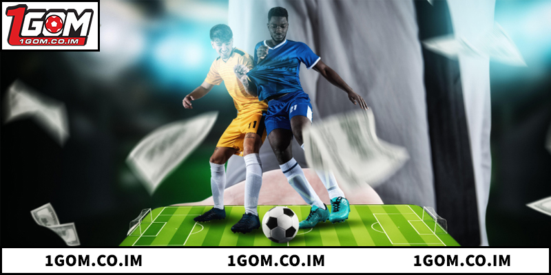 Hệ thống 1GOM cung cấp dữ liệu chính xác và tin tức mới