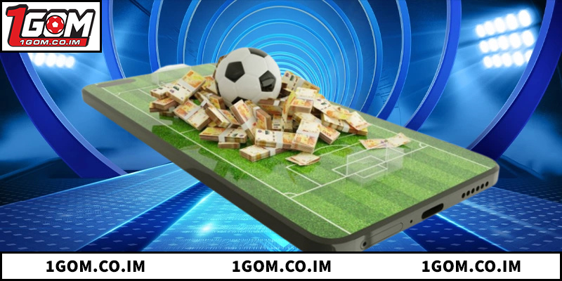 Lịch sử hình thành và các giai đoạn phát triển của 1GOM