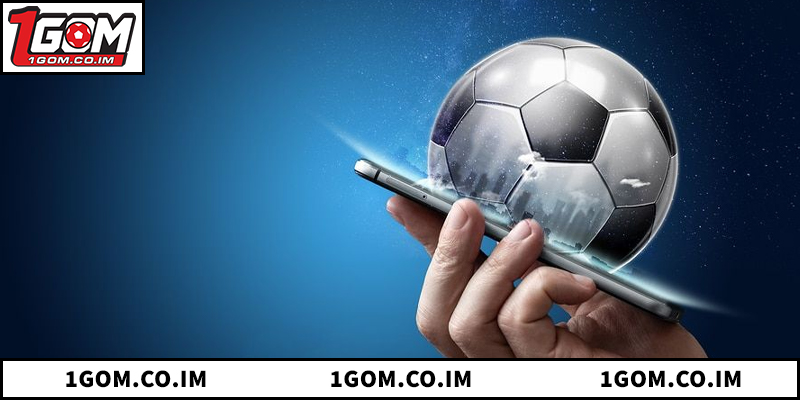 Phân biệt đặc điểm kèo Odd/Even trong bóng đá, bóng chuyền, tennis