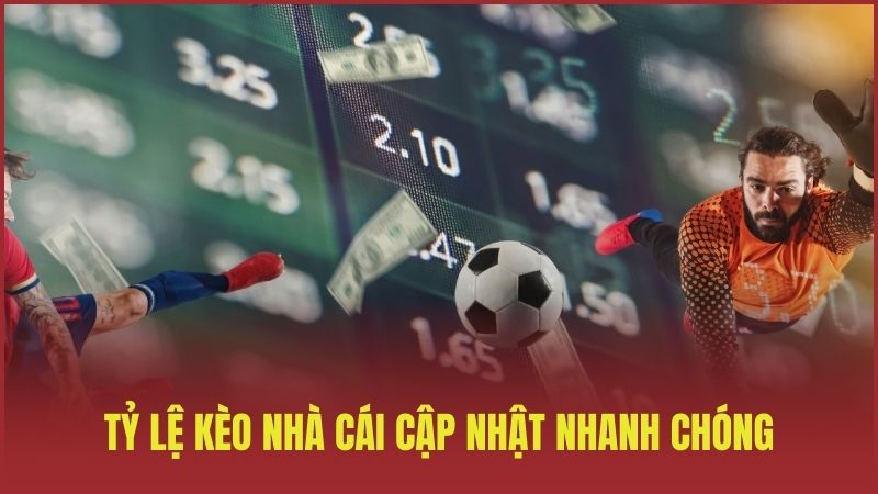 Tỷ lệ kèo nhà cái cập nhật nhanh chóng, chính xác từ 100+ nhà cái